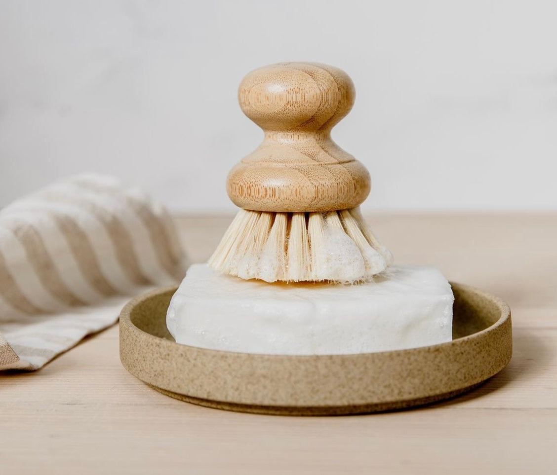 Casa Agave Dish Brush