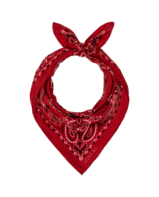 The Great Silk Bandana