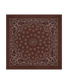 The Great Silk Bandana
