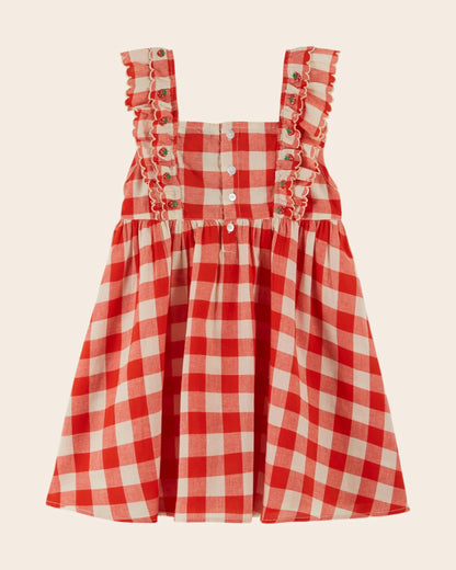 Emile & Ida Embroidered Red Check